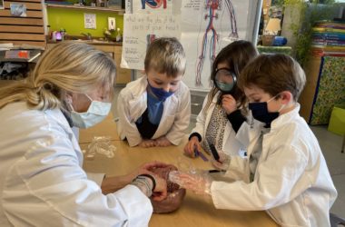 children in masks dissecting a pig's heart