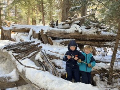 young students playing in the woods at Aspen Country Day School, the Roaring Fork Valley's private school for preschool to Eighth Grade